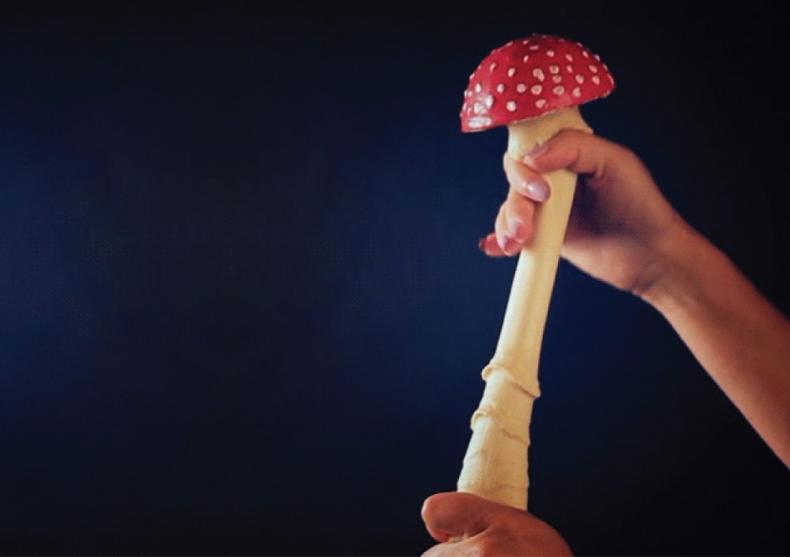 Ciuperca antistres -- Japonia sare in ajutorul tau image