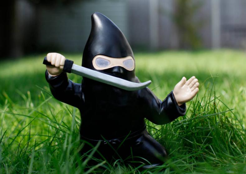 Piticul ninja -- Paznicul tau eco de noapte image