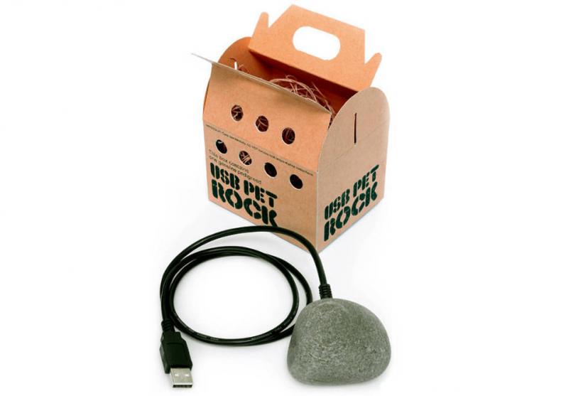 Pet Rock -- Versiunea cu USB... ce nu face absolut nimic! image