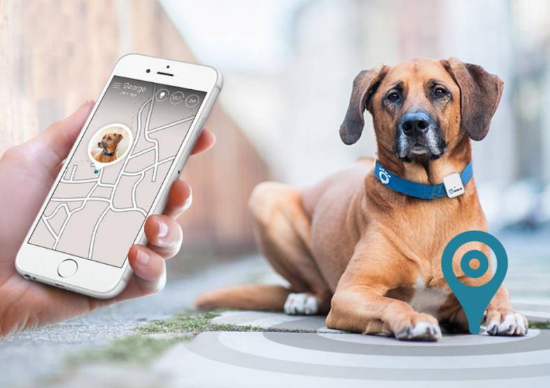 GPS Tractive -- tracker GPS pentru caini si pisici image