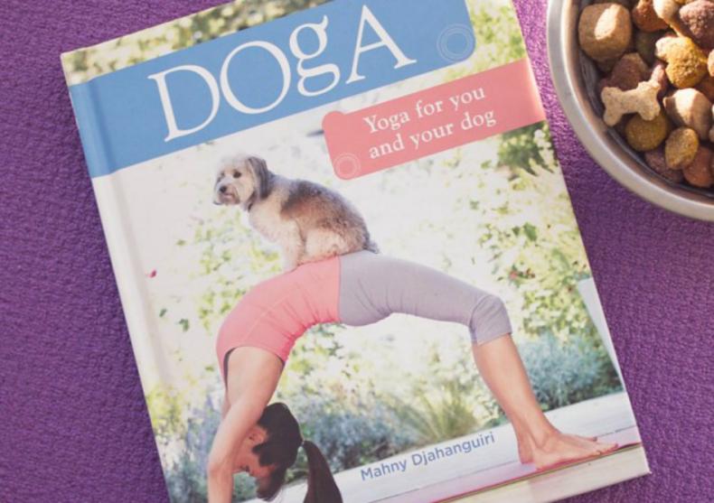 Doga - Yoga pentru tine si catelul tau image