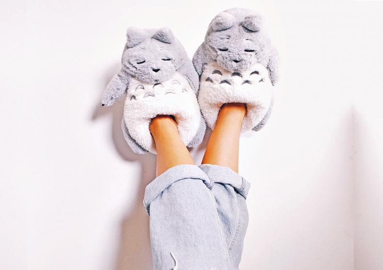 Papuci de casa Totoro -- Paseste in lumea basmelor japoneze! image