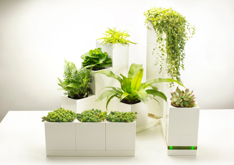 LeGrow Smart Garden - sistem smart pentru cultivat plante image
