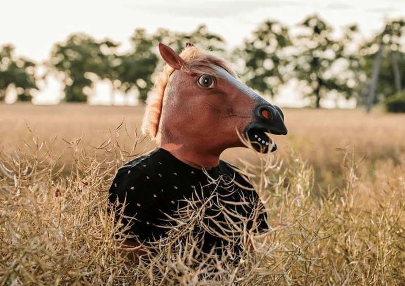 Masca de cal - Pentru ciudatul din tine image