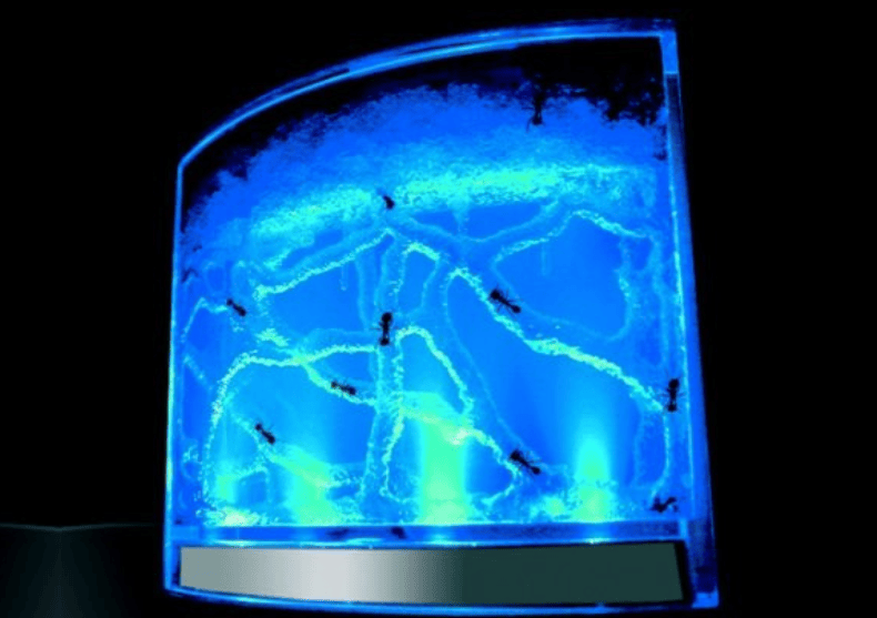 Labirint de furnici LED - Un gadget clasic in format modern image