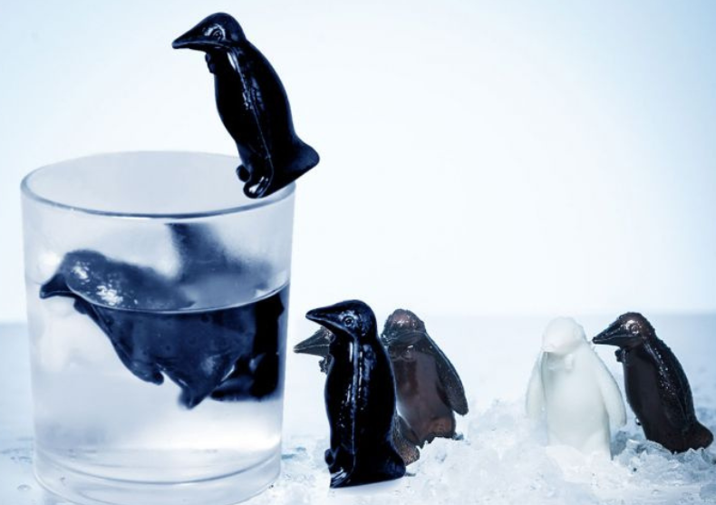 Pinguin Coolers – Sa inceapa petrecerea! image